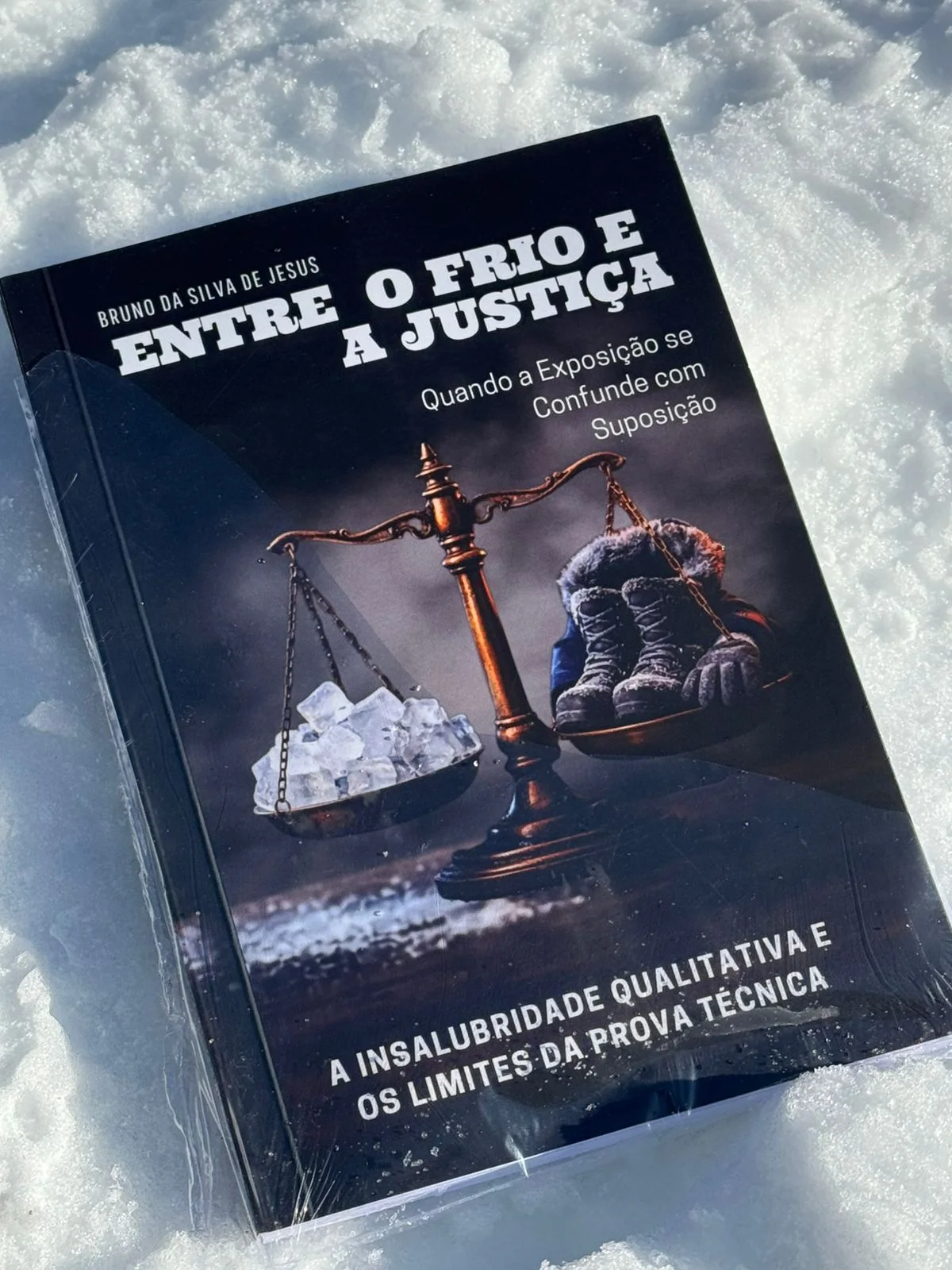 Livro Entre o Frio e a Justiça sobre a neve